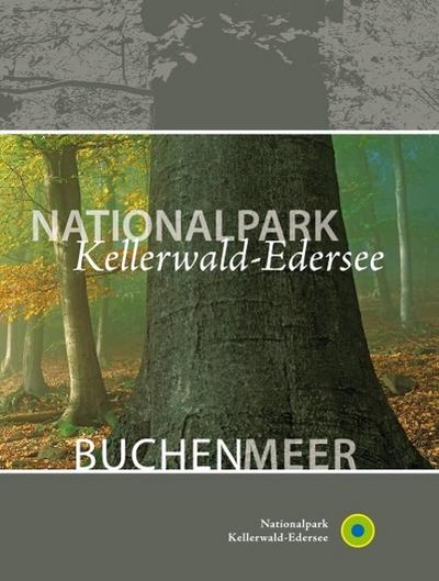 Nationalpark Kellerwald-Edersee Buchenmeer