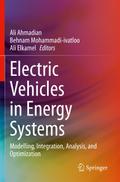 Electric Vehicles in Energy Systems