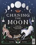 Chasing the Moon