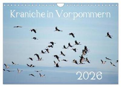 Kraniche in Vorpommern (Wandkalender 2026 DIN A4 quer), CALVENDO Monatskalender