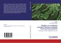 Studies on antibiotic resistant bacteria isolated 