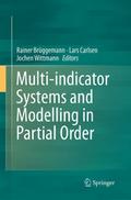 Multi-indicator Systems and Modelling in Partial Order