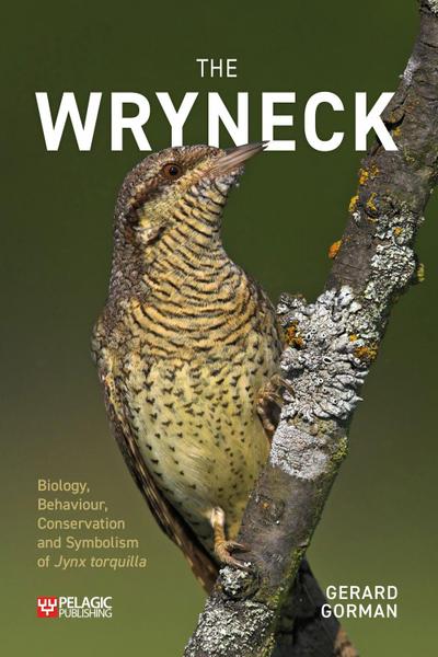 The Wryneck