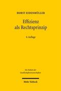 Effizienz als Rechtsprinzip