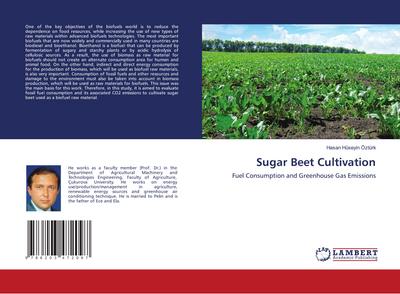 Sugar Beet Cultivation