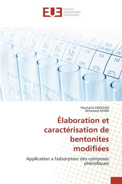 Élaboration et caractérisation de bentonites modifiées