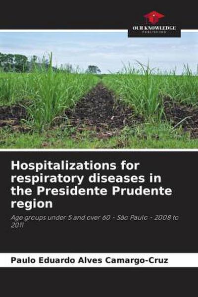 Hospitalizations for respiratory diseases in the Presidente Prudente region