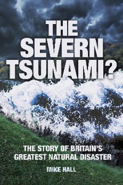 The Severn Tsunami?