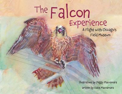The Falcon Experience