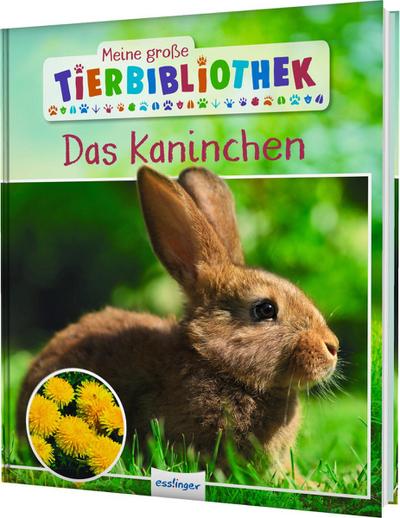 Meine große Tierbibliothek: Das Kaninchen