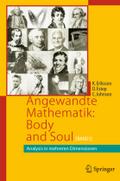 Angewandte Mathematik: Body and Soul: Band 3: Analysis in mehreren Dimensionen Kenneth Eriksson Author