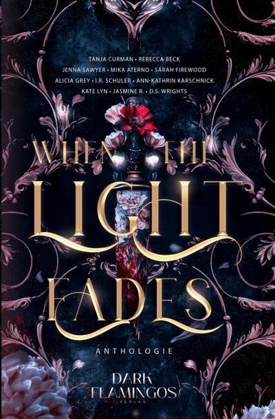 When the Light Fades