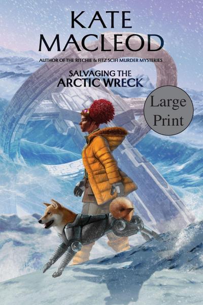Salvaging the Arctic Wreck