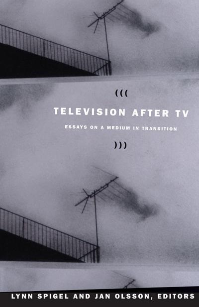 Television After TV