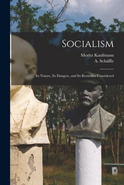 Socialism: Its Nature, Its Dangers, and Its Remedies Considered