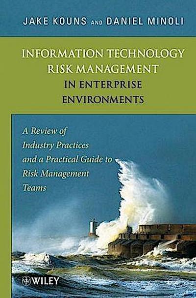 Information Technology Risk Management in Enterprise Environments
