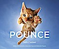 Pounce