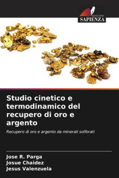 Studio cinetico e termodinamico del recupero di oro e argento