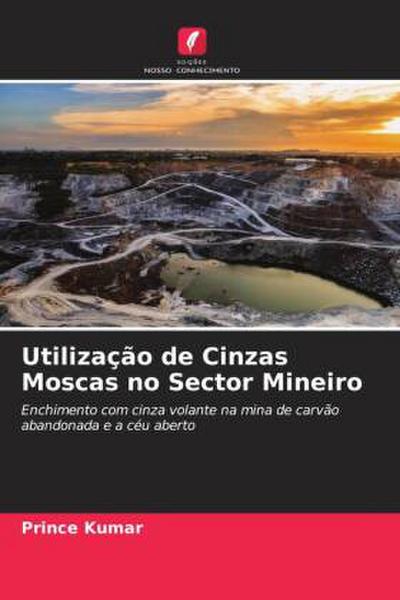 Utilização de Cinzas Moscas no Sector Mineiro