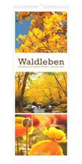 Waldleben - Triplets 2027