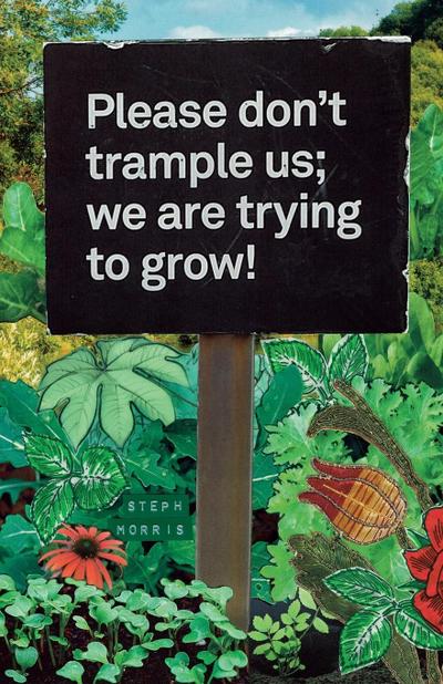 Please don’t trample us; we are trying to grow