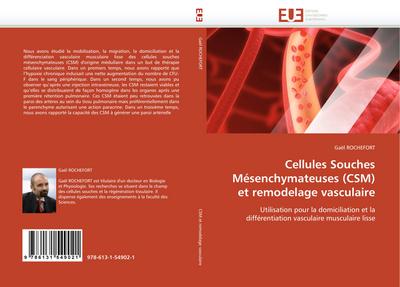Cellules Souches Mésenchymateuses (CSM) et remodelage vasculaire