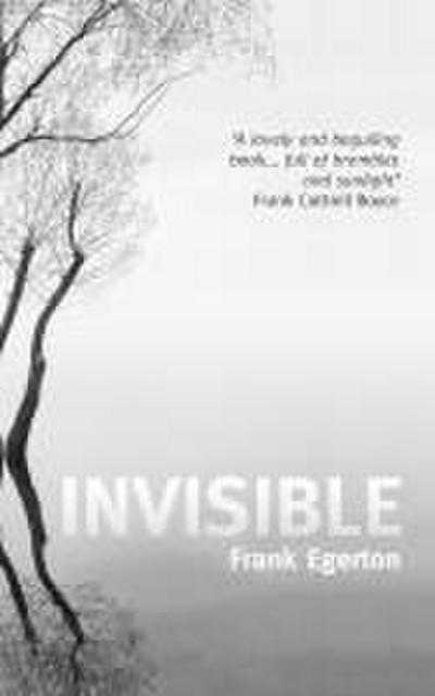 Invisible
