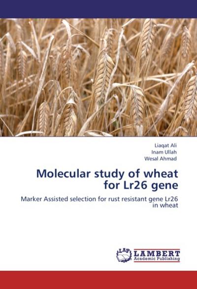 Molecular study of wheat for Lr26 gene