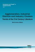 Agglomeration, Industrial Districts and Industry Clusters