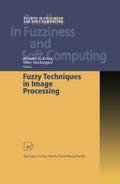 Fuzzy Techniques in Image Processing