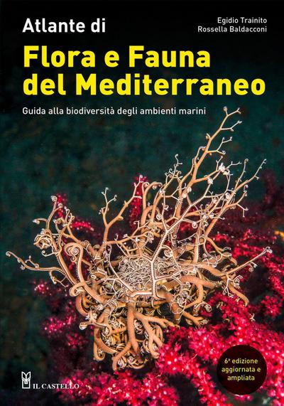 Atlante di flora e fauna del Mediterraneo. Guida alla biodiversità degli ambienti marini