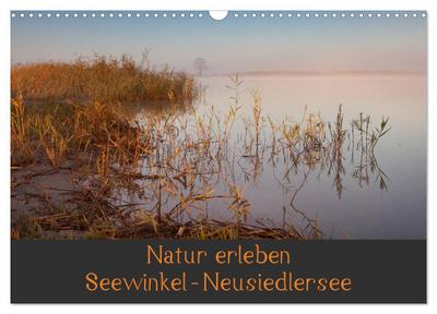 Natur erleben Seewinkel-Neusiedlersee (Wandkalender 2024 DIN A3 quer), CALVENDO Monatskalender