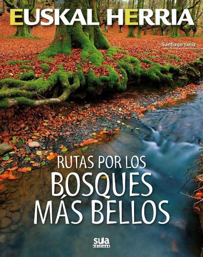 Rutas por los bosques más bellos