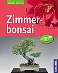 Zimmerbonsai