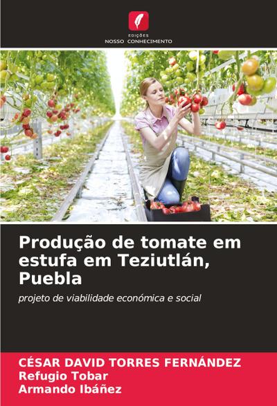 Produção de tomate em estufa em Teziutlán, Puebla