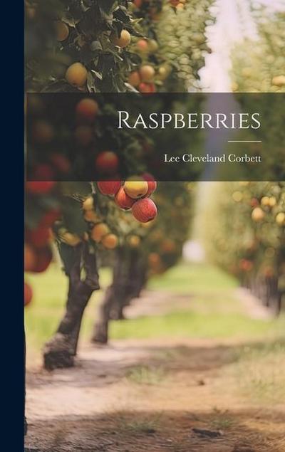 Raspberries