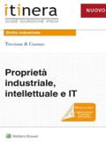 Proprietà industriale, intellettuale e IT