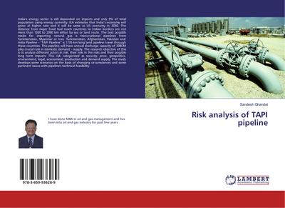 Risk analysis of TAPI pipeline
