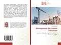 Management des risques industriels