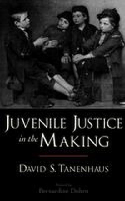 Juvenile Justice in the Making