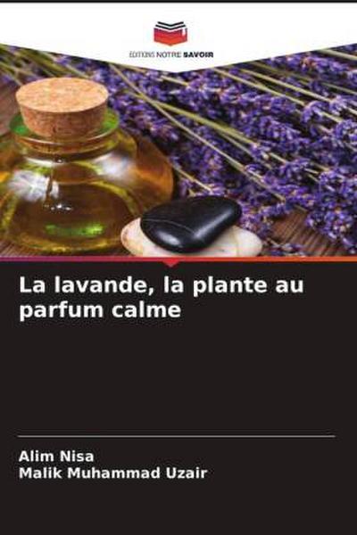 La lavande, la plante au parfum calme