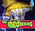 Todo sobre las medusas