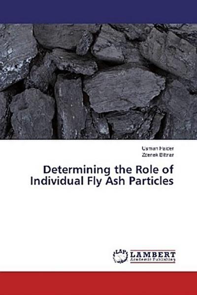 Determining the Role of Individual Fly Ash Particles