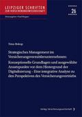 Strategisches Management im Versicherungsvermittle