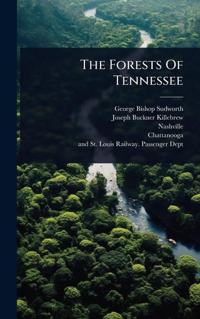 The Forests Of Tennessee