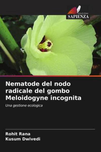 Nematode del nodo radicale del gombo Meloidogyne incognita