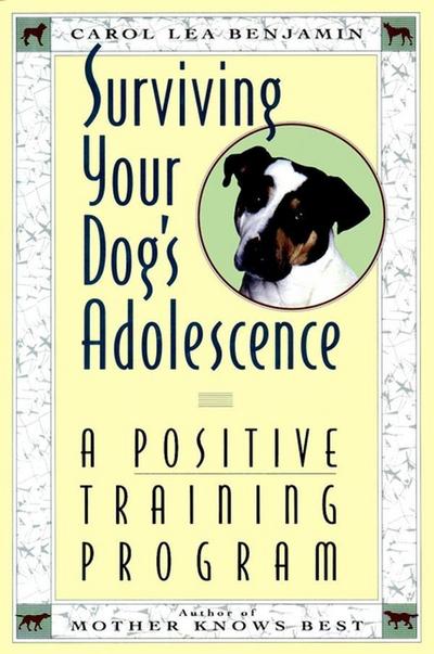 Surviving Your Dog’s Adolescence