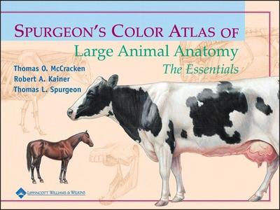 Spurgeon’s Color Atlas of Large Animal Anatomy
