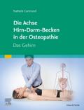 Die Achse Hirn-Darm-Becken in der Osteopathie