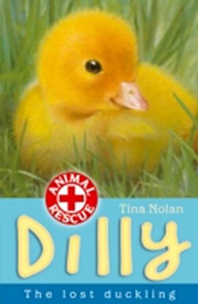 Dilly the lost duckling